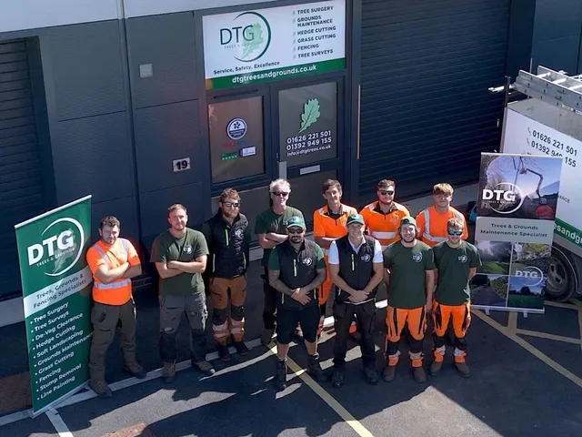 DTG Trees & Grounds Ltd: Professional Arboriculture and Grounds Maintenance