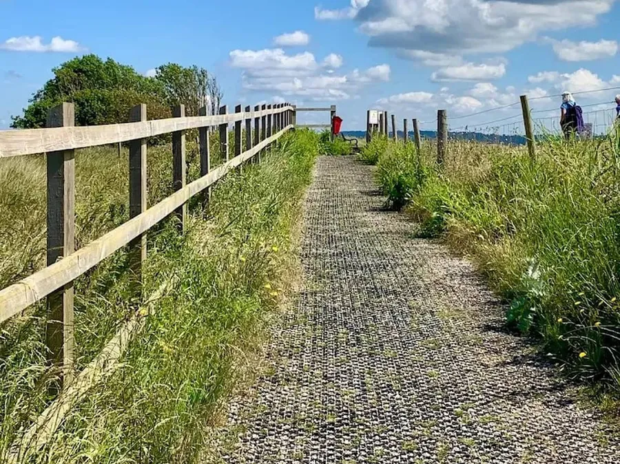 Dawlish Warren Nature Reserve: Sand Dunes and Seabirds on Devon’s Edge
